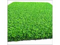 golf-grass-artificial-turf-small-0