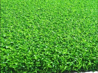 golf-grass-artificial-turf